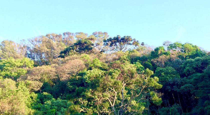 Photo of Others in Pinhalzinho