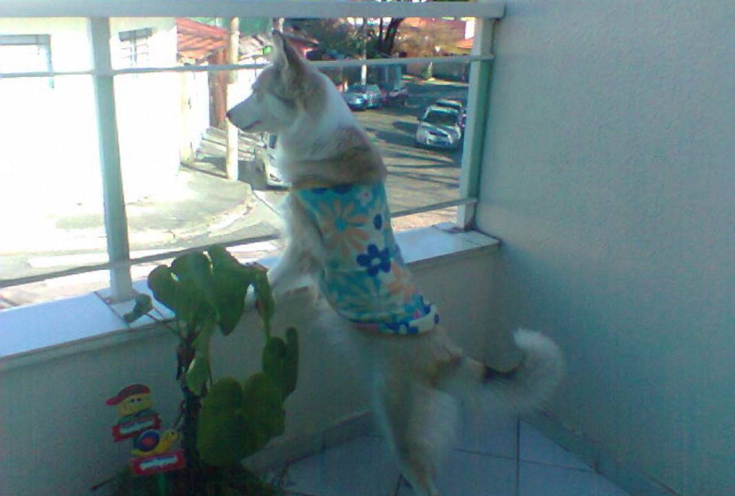 Photo of Others in Zona Leste