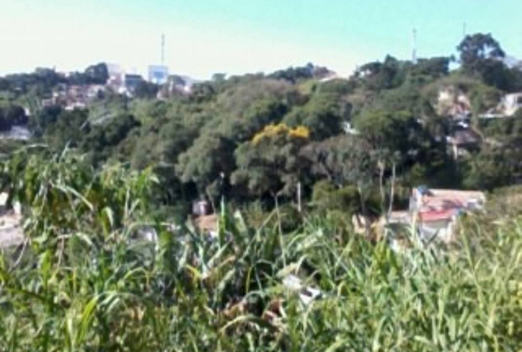 Photo of Others in Itapecerica da Serra