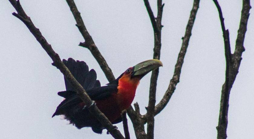 Photo of Others in Mairipora