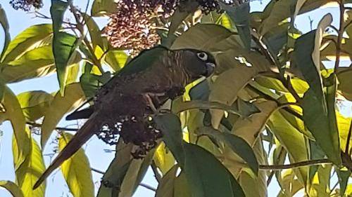 Photo of Others in Itagua