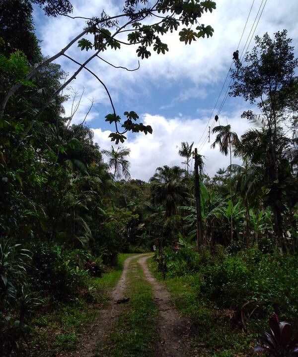 Photo of Others in Iguape