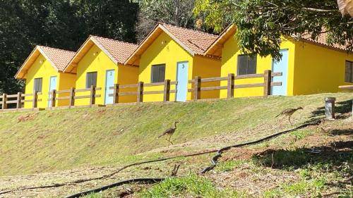 Photo of Others in Pedra Bela