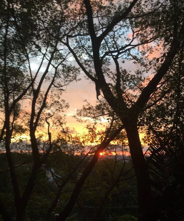 Photo of Others in Alto de Pinheiros