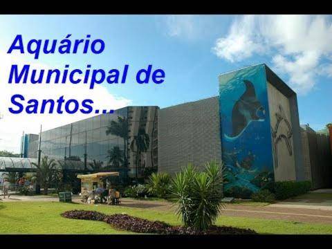 Photo of Others in Ponta da Praia