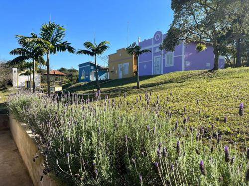 Photo of Others in Sao Pedro