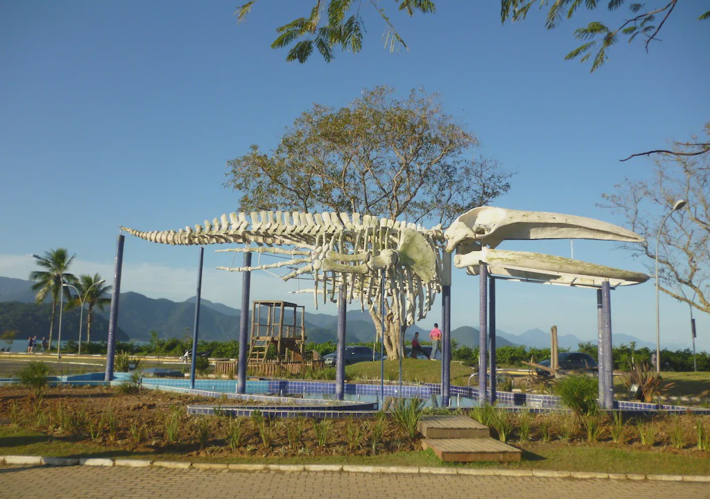 Photo of Others in Barra da Lagoa