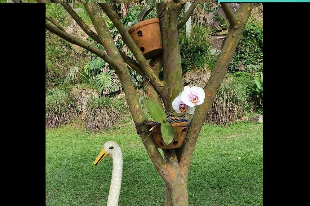 Photo of Outdoor in Monte Alegre do Sul
