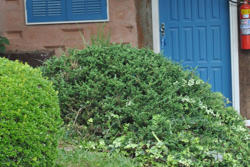 Photo of Outdoor in Jaguaribe