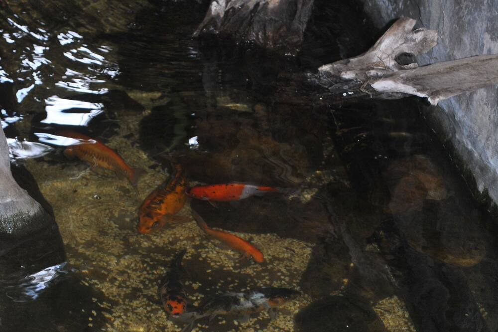 Photo of Outdoor in Jaguaribe