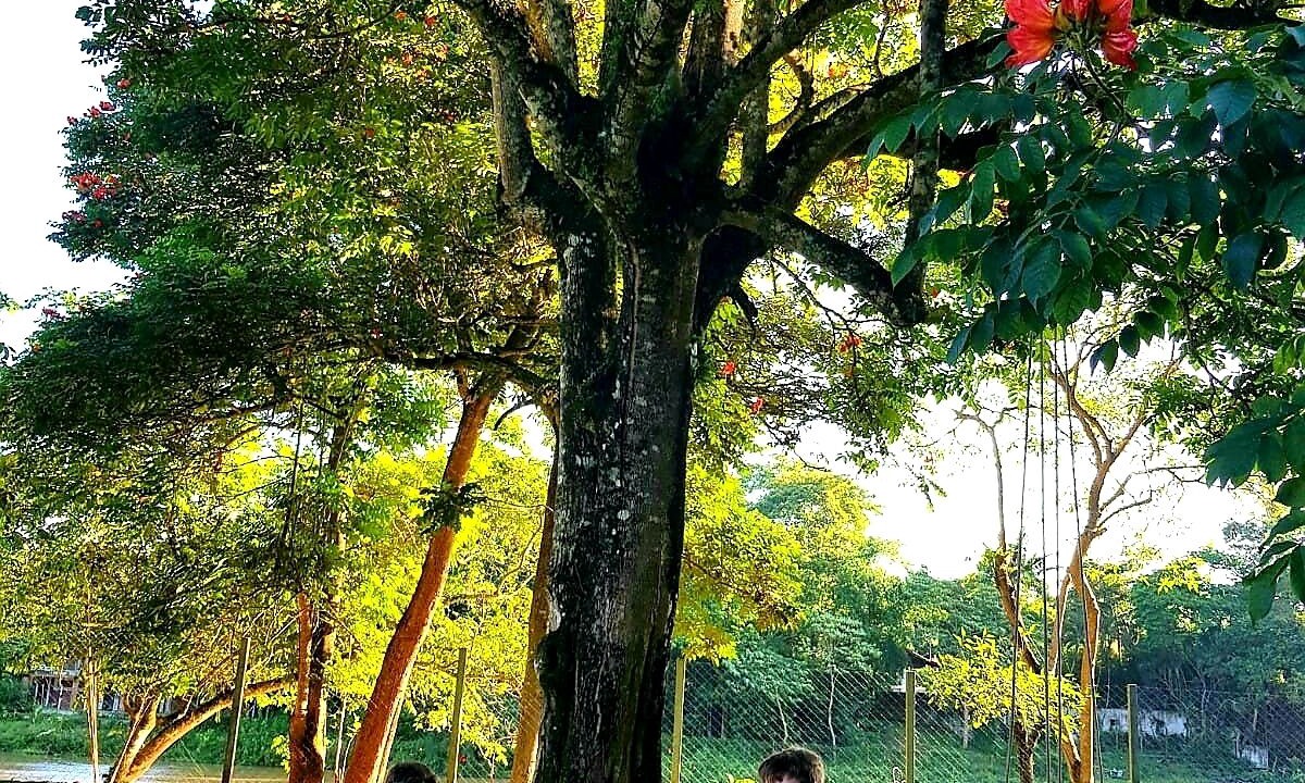Photo of Outdoor in Itaoca