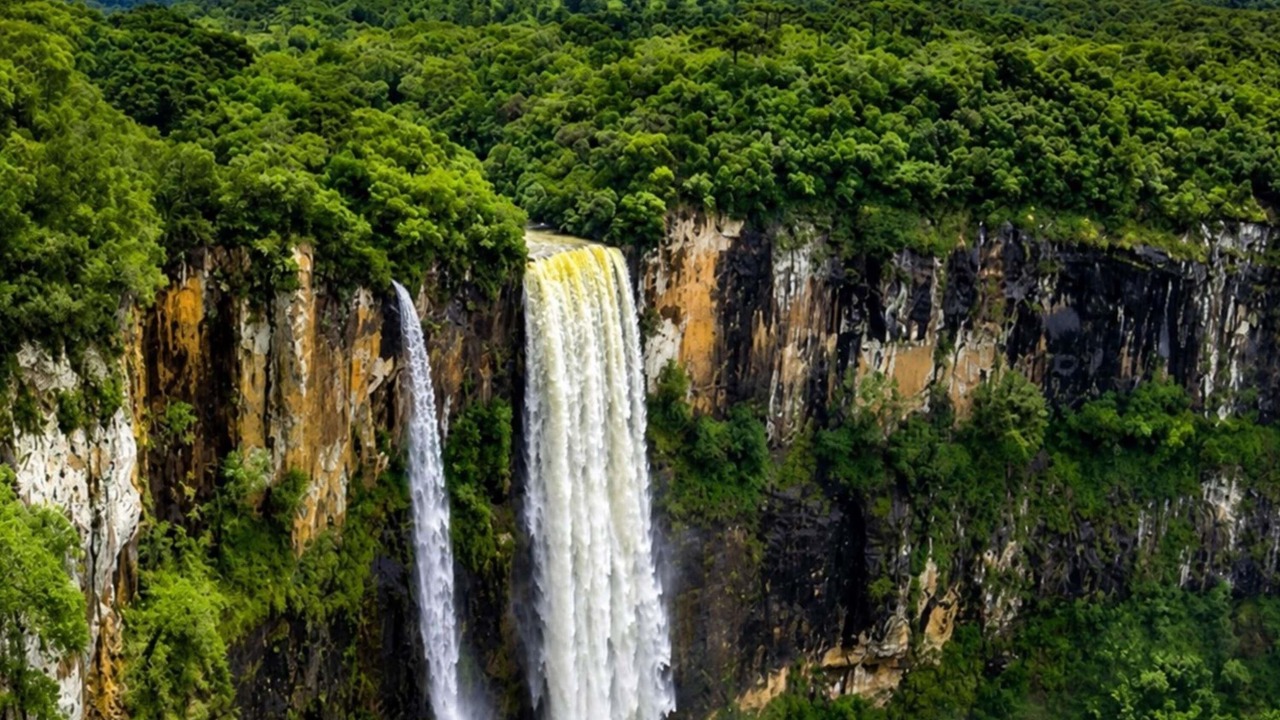 Photo of Others in Guarapuava