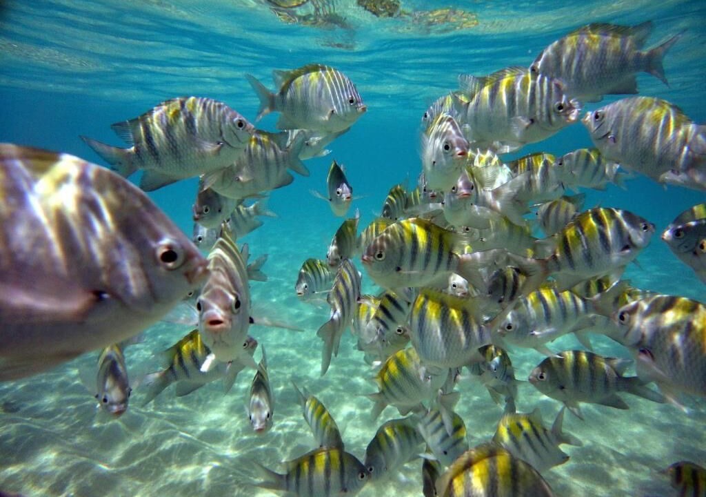 Photo of Outdoor in Ponta da Terra