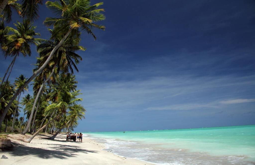 Photo of Others in Ponta da Terra