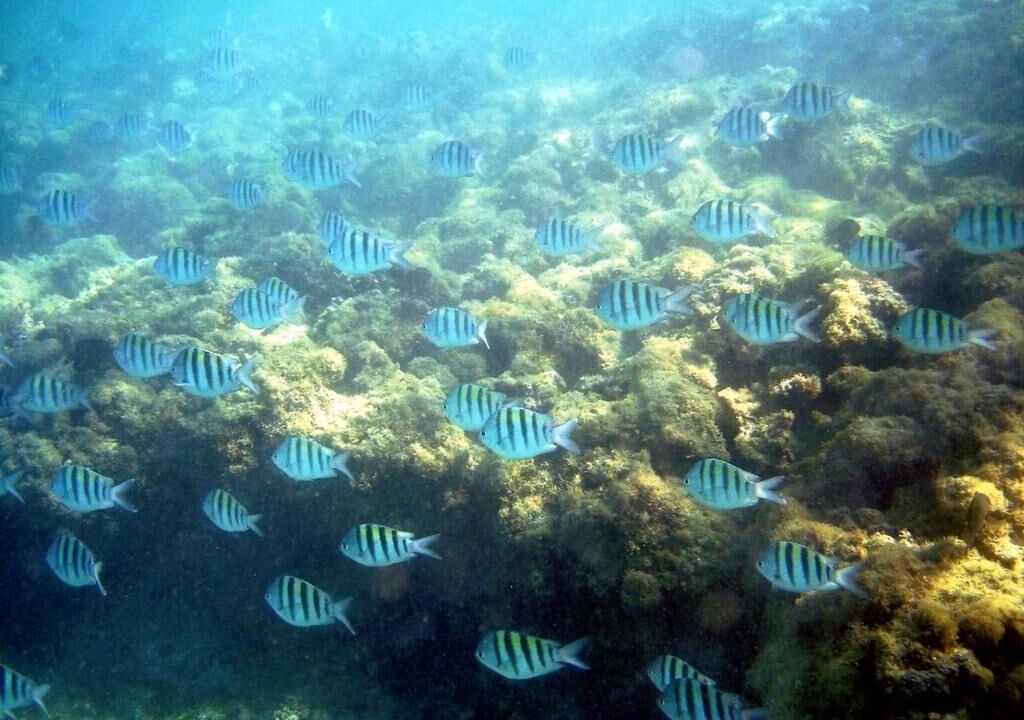 Photo of Outdoor in Ponta da Terra