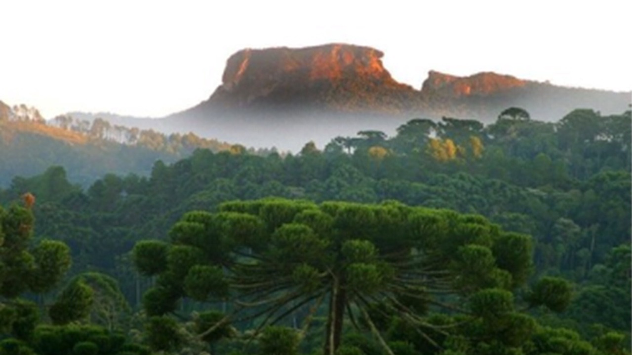 Photo of Others in Alto da Boa Vista