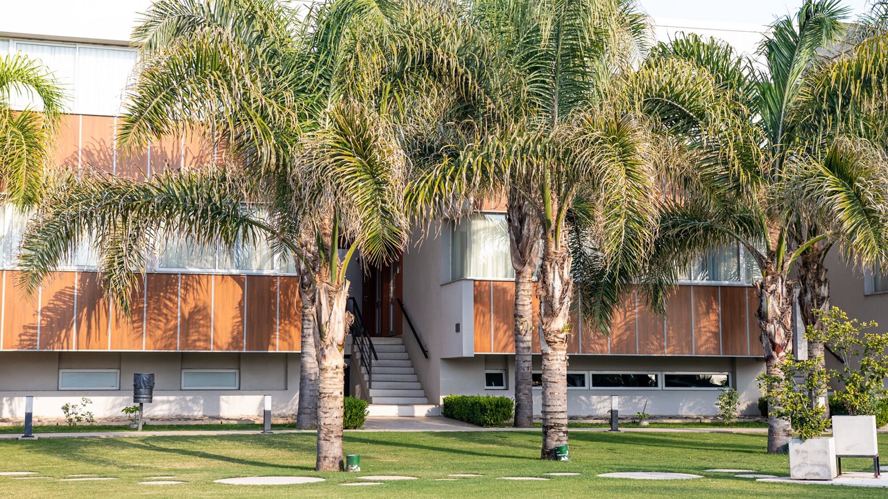 Photo of Outdoor in Leones