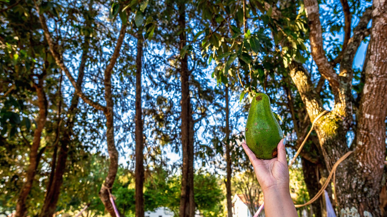 Photo of Outdoor in Capela do Alto