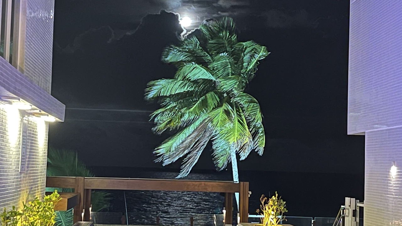 Photo of Outdoor in Jardim Oceania