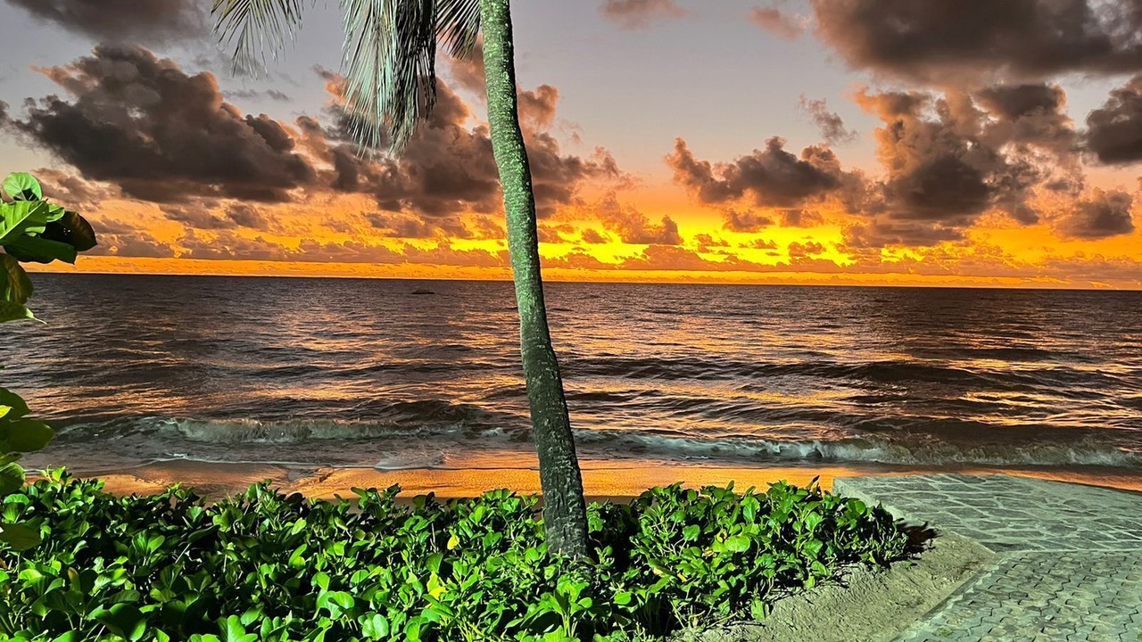 Photo of Outdoor in Jardim Oceania