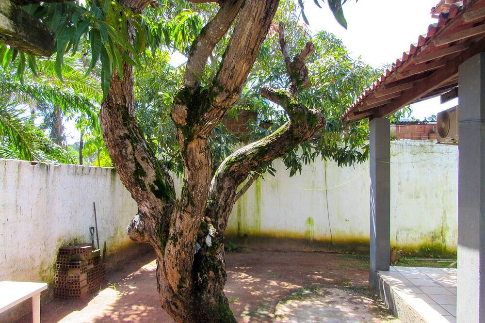 Photo of Outdoor in Pilar