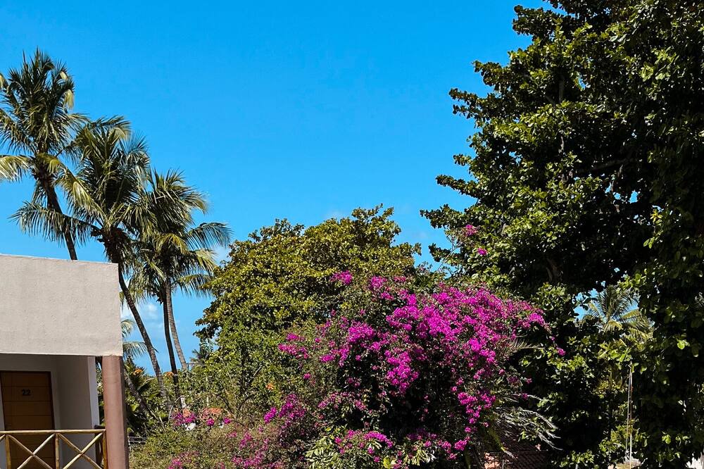Photo of Outdoor in Barra de Sao Miguel