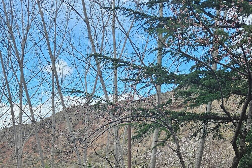 Photo of Outdoor in Las Heras Department