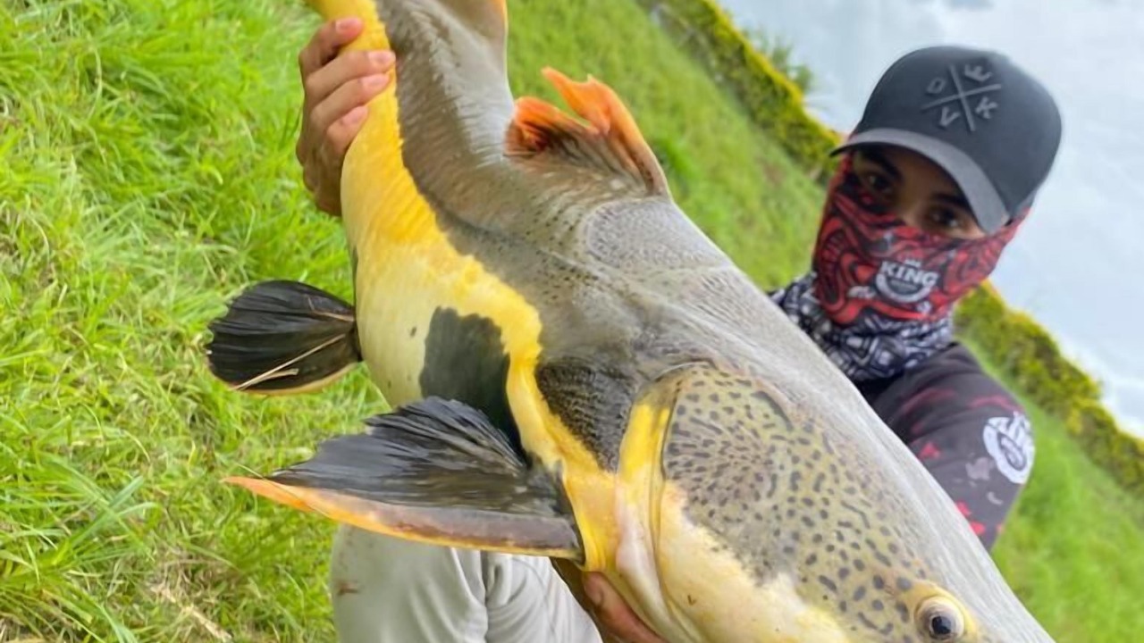 Photo of Outdoor in Goianesia