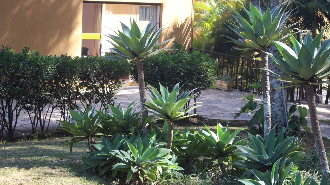 Photo of Outdoor in Jarinu