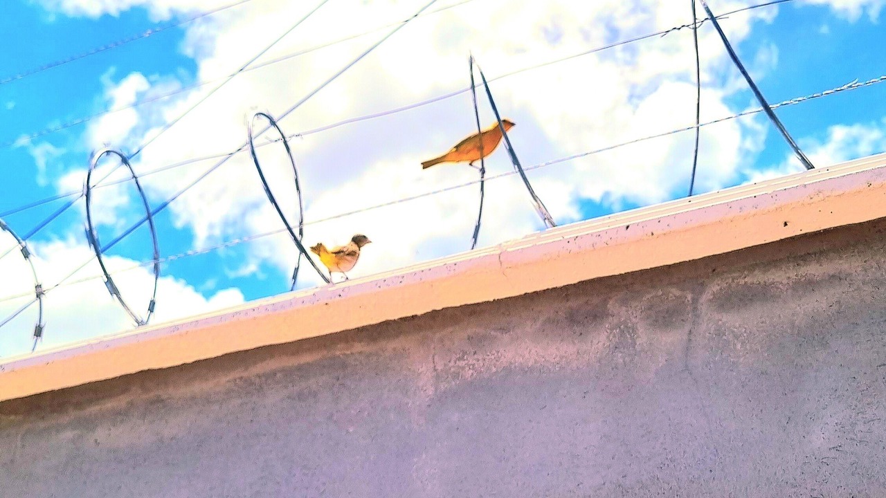 Photo of Others in Cavalcante