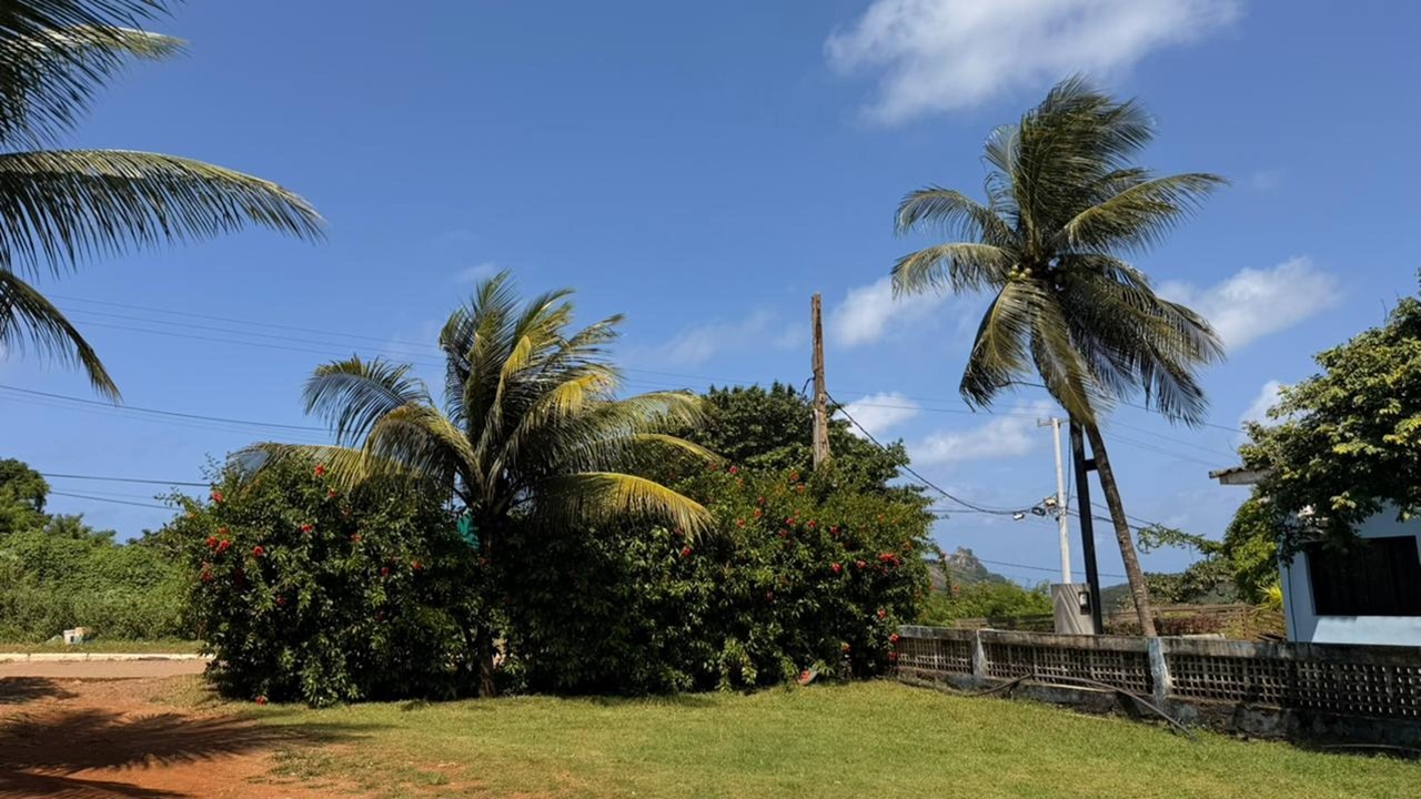 Photo of Outdoor in Floresta Velha