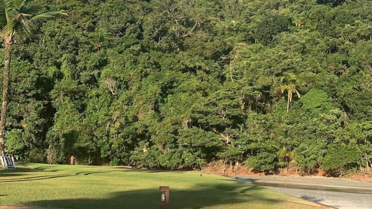 Photo of Others in Barra do Una