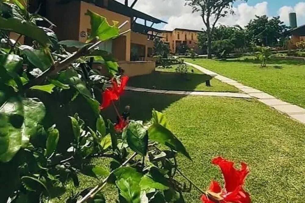 Photo of Outdoor in Novo Gravata