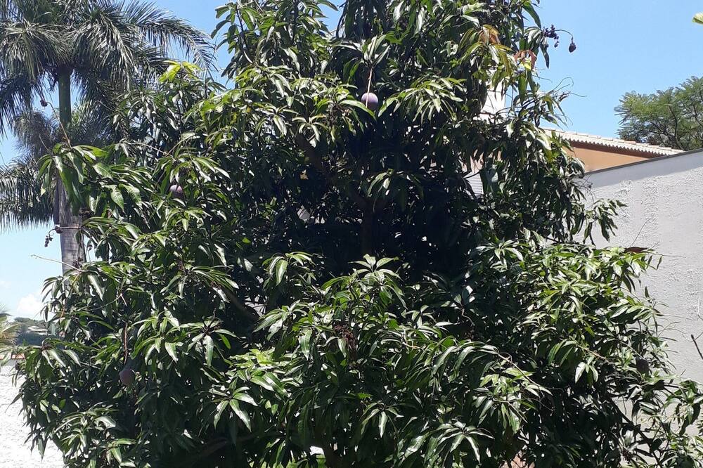 Photo of Outdoor in Parque dos Cafezais II