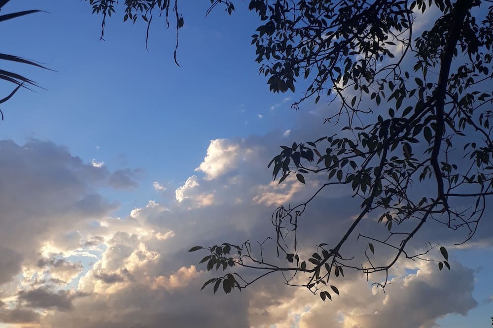 Photo of Outdoor in Parque dos Cafezais II