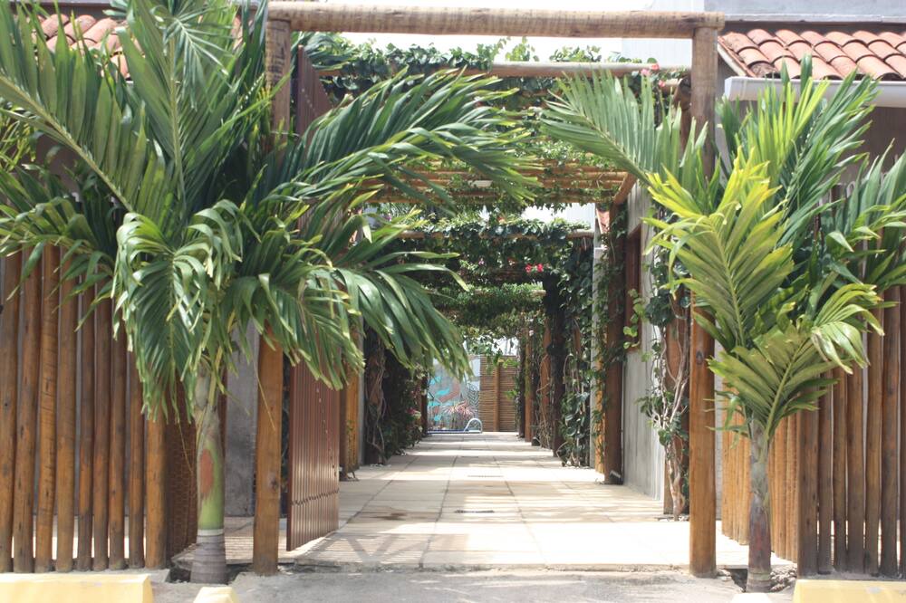 Photo of Outdoor in Sao Miguel dos Milagres