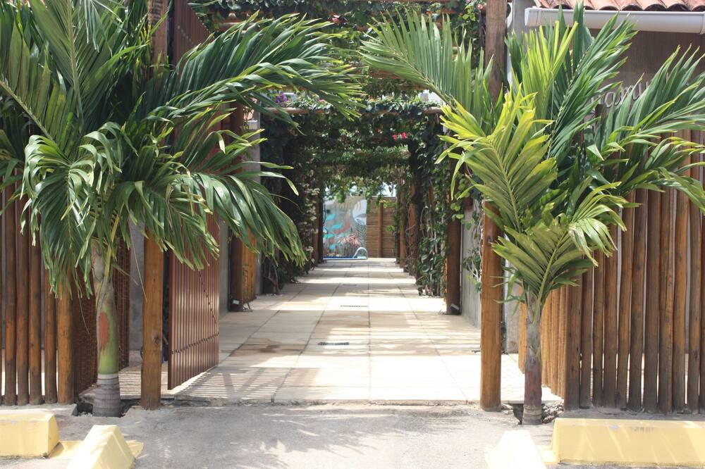 Photo of Outdoor in Sao Miguel dos Milagres