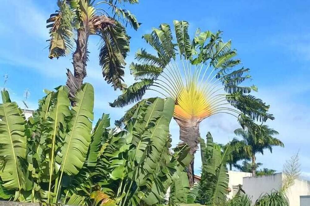 Photo of Patio Balcony in Paracatu