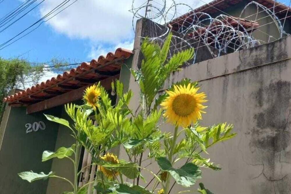 Photo of Outdoor in Paracatu