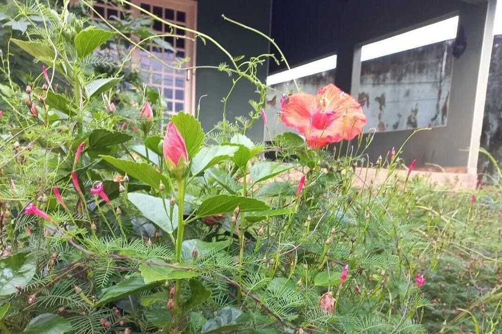 Photo of Outdoor in Paracatu