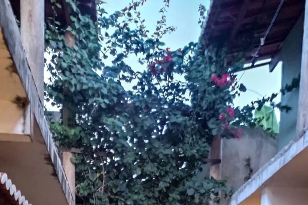 Photo of Outdoor in Pipa