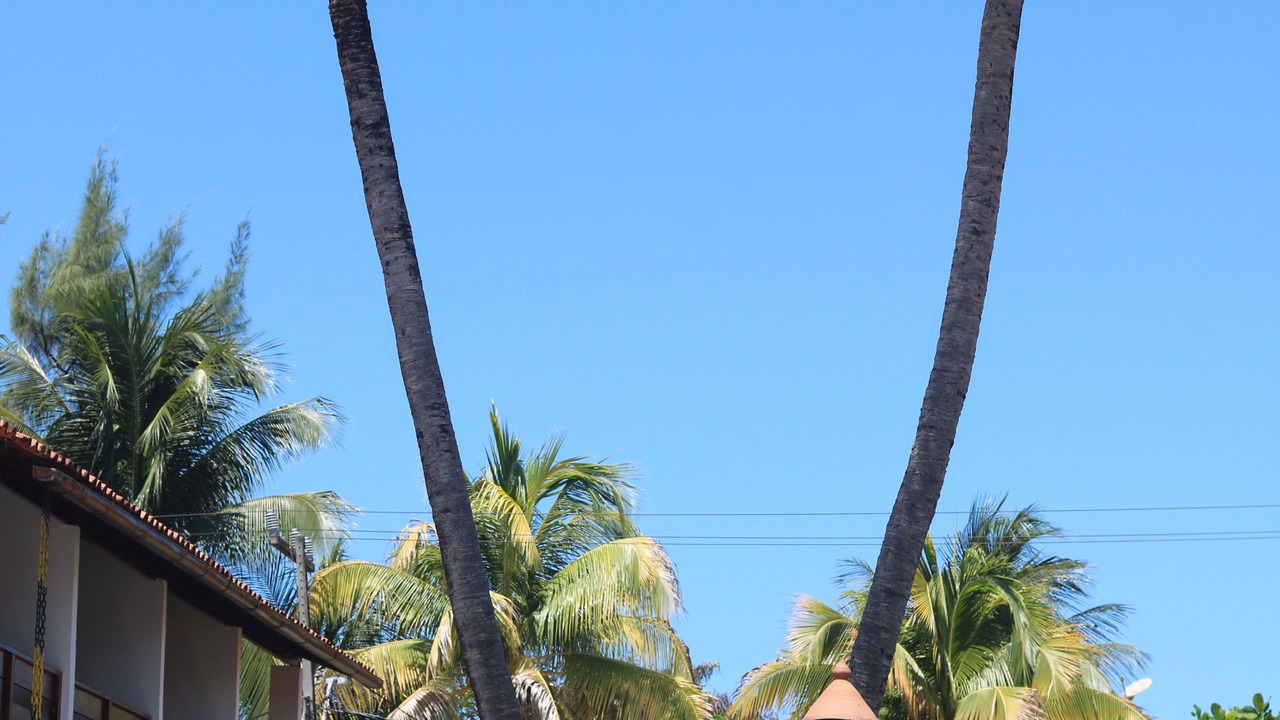 Photo of Outdoor in Centro