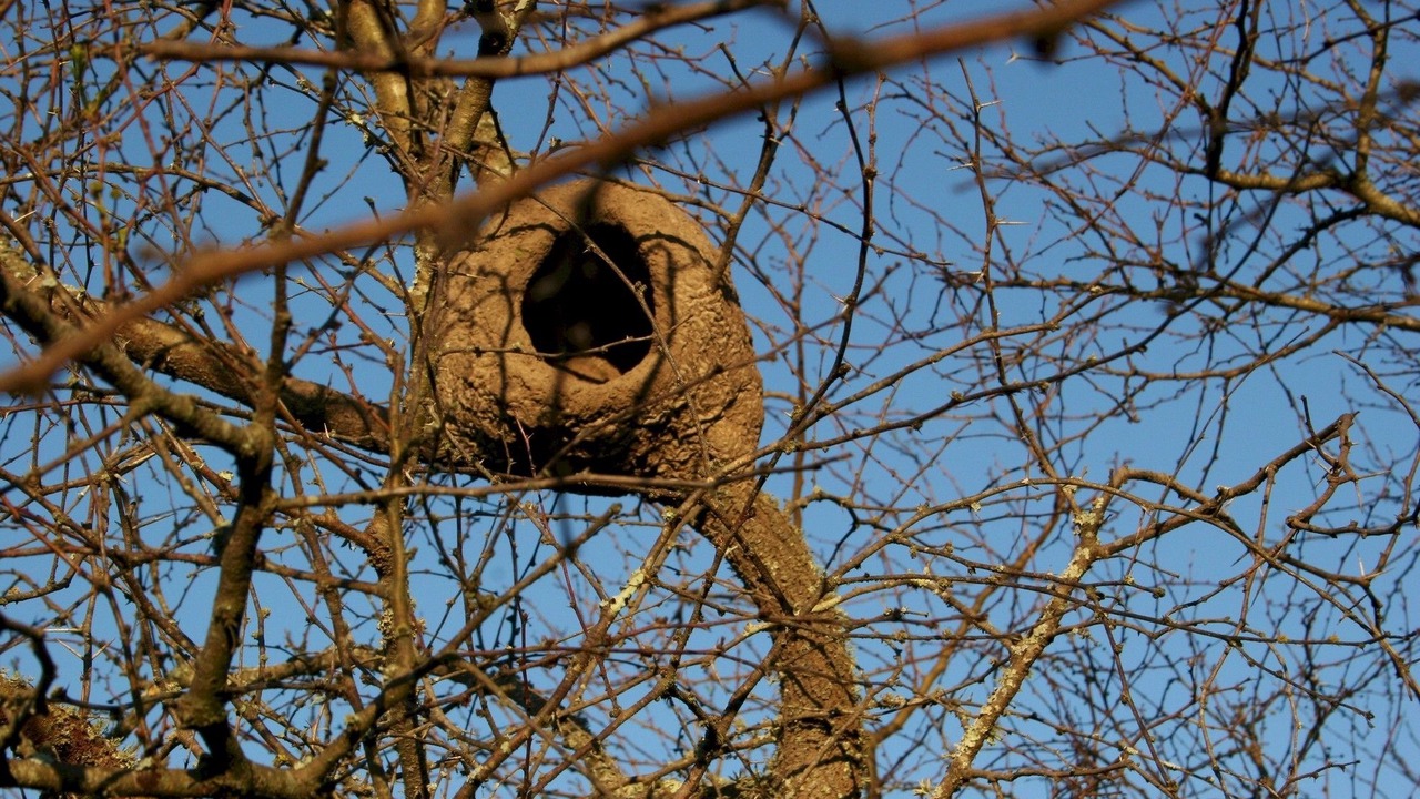 Photo of Outdoor in Ceibas