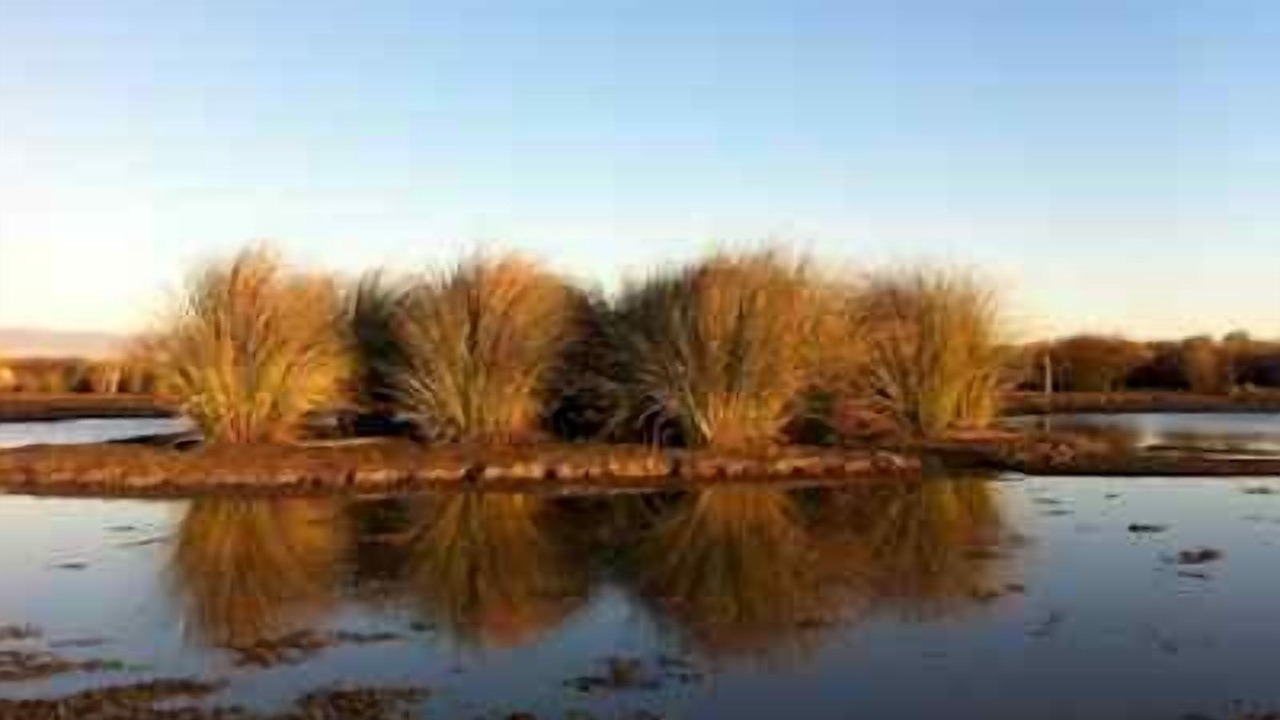 Photo of Outdoor in Ceibas