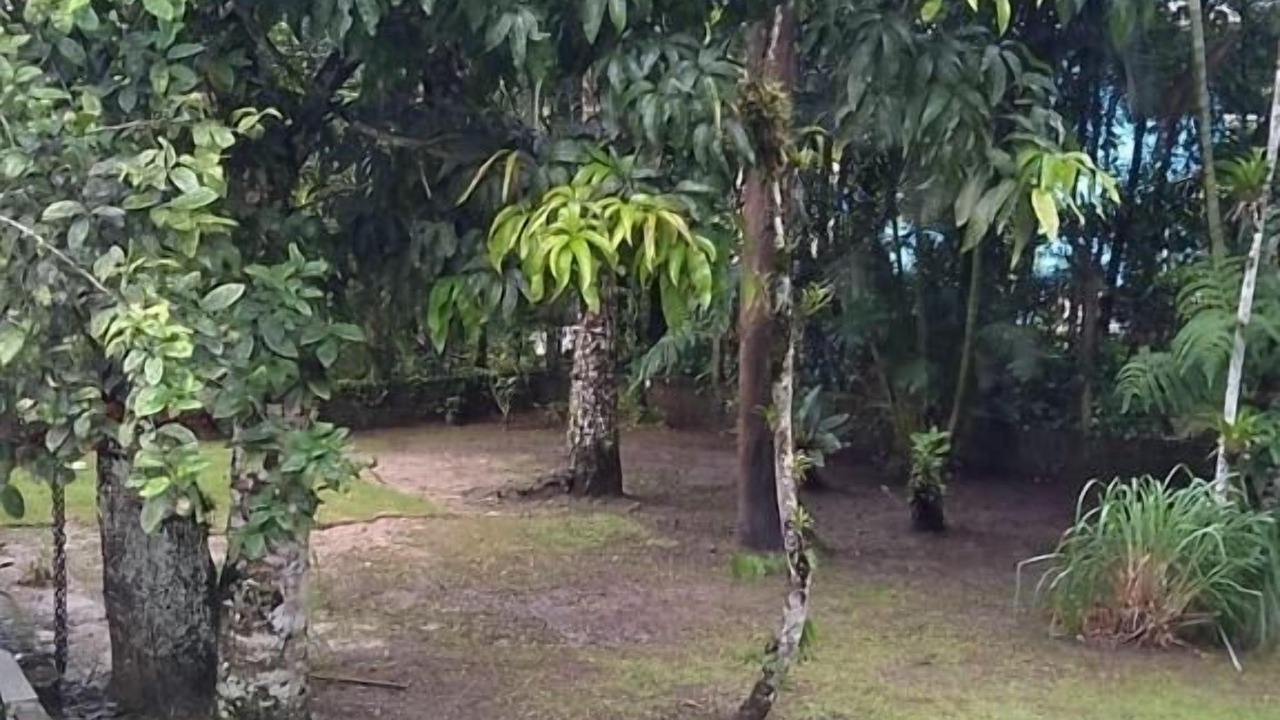 Photo of Outdoor in Guarutuba