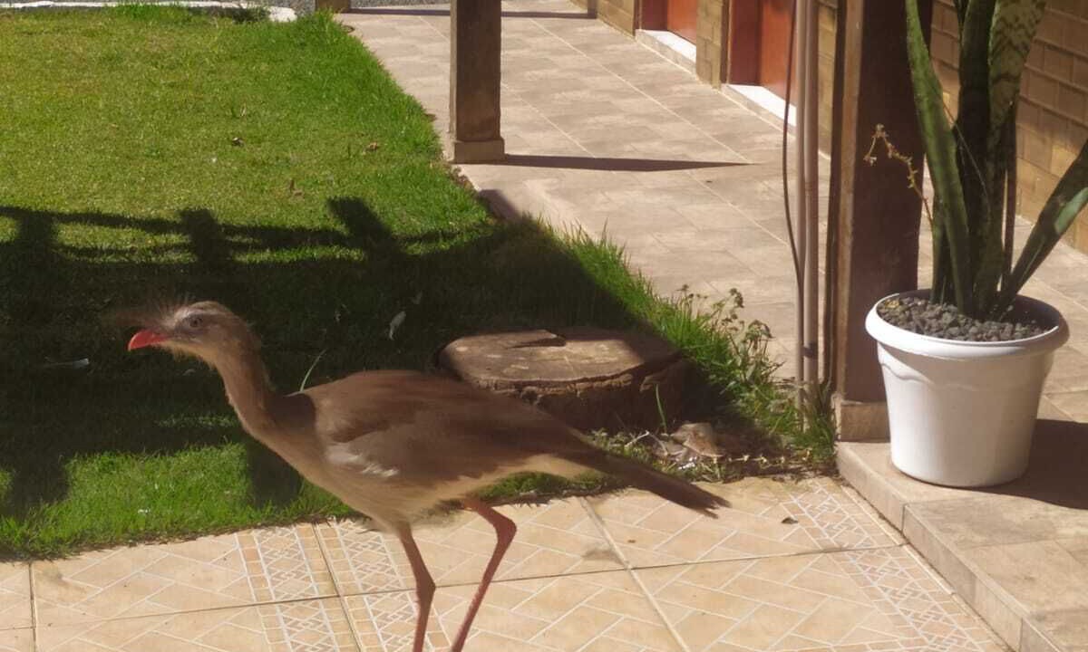 Photo of Outdoor in Aguas de Lindoia