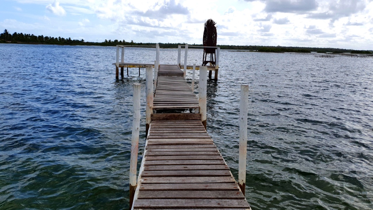 Photo of Outdoor in Caicara