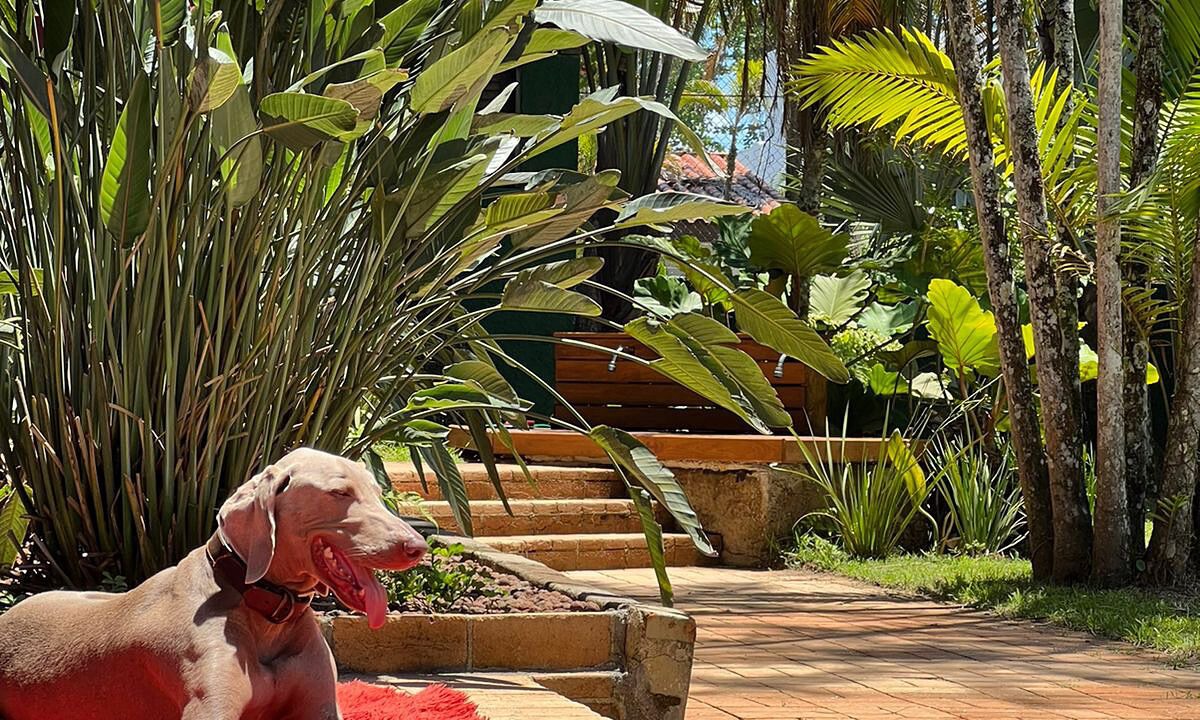 Photo of Outdoor in Balneario Praia do Pernambuco