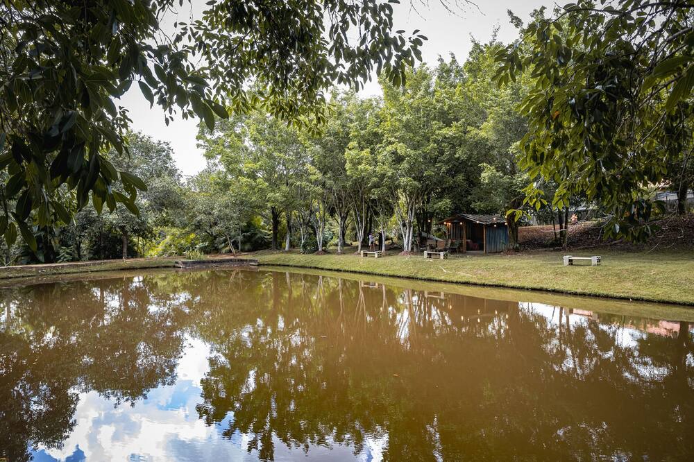Photo of Outdoor in Limeira