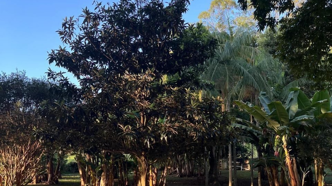Photo of Others in Sao Pedro